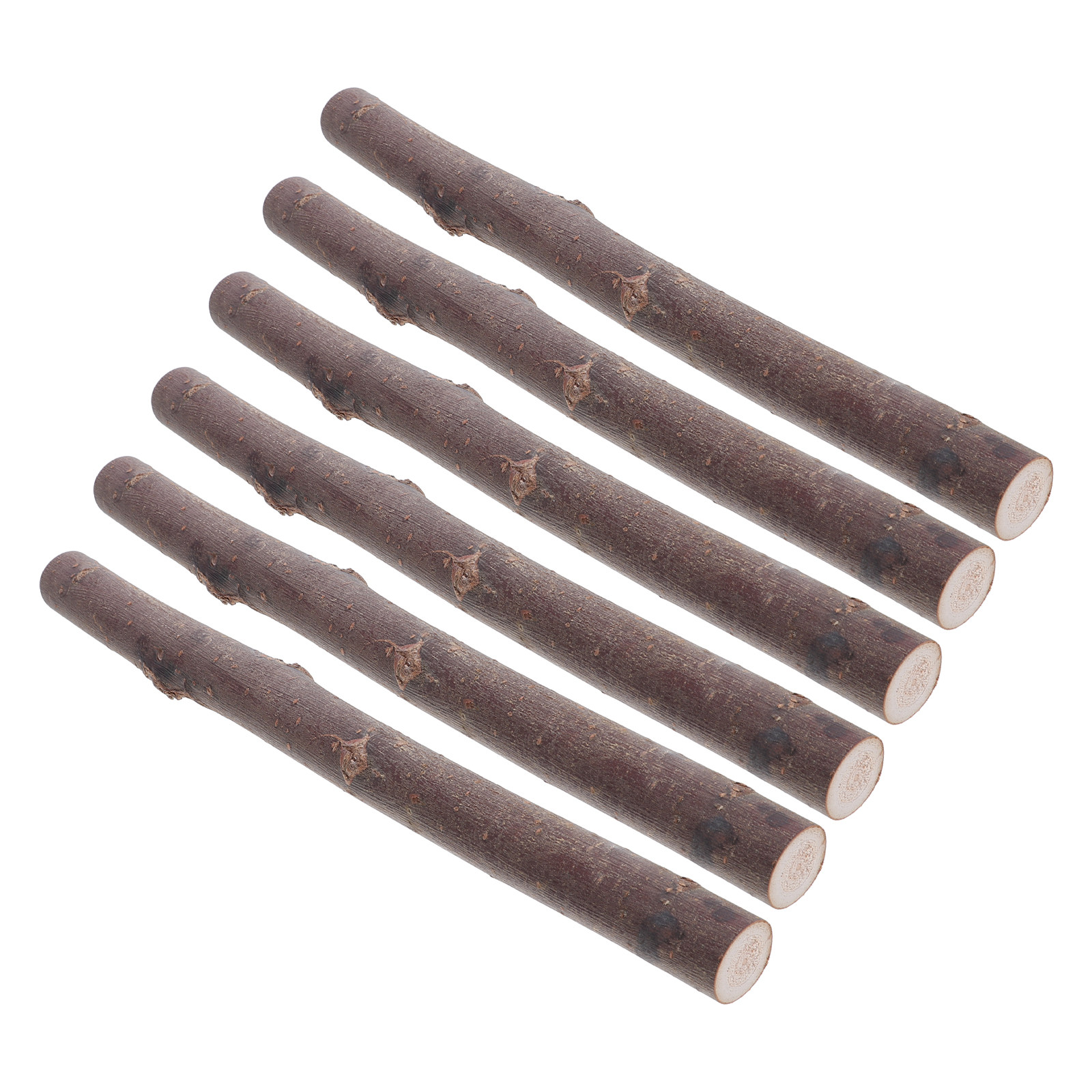 6 Buah Ranting Kayu Birch Alam - Centerpiece Stick ulasan dan harga